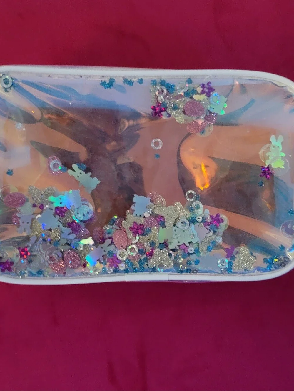 Brand New Iridecent Cosmetic Case